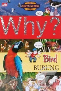 Image of Why ? Burung